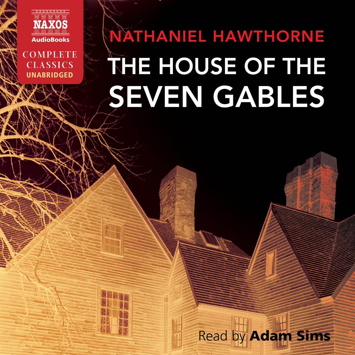 Nathaniel Hawthorne - The House of the Seven Gables Audiobook  