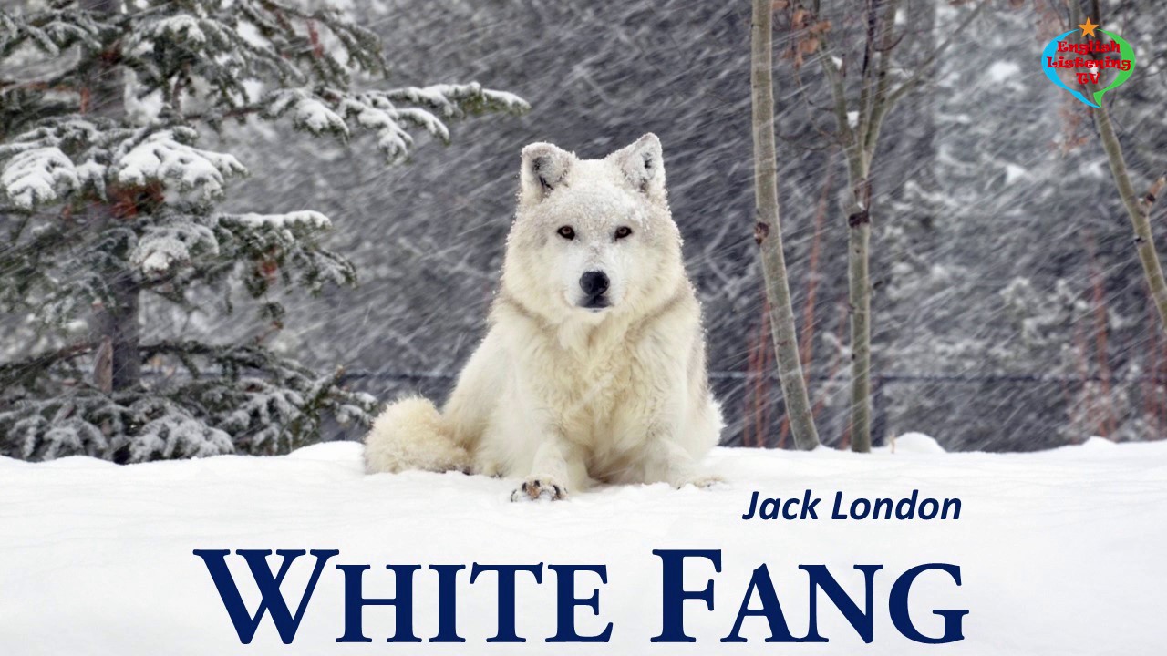 Jack London - White Fang Audiobook  