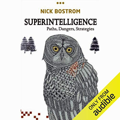 Nick Bostrom - Superintelligence Audiobook  