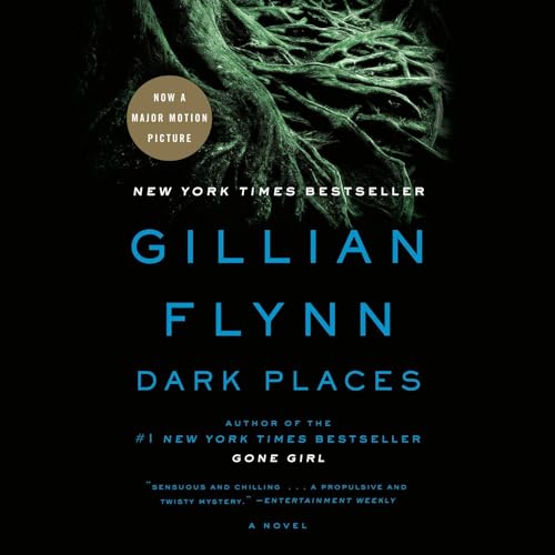 Dark Places Audiobook by Gillian Flynn  