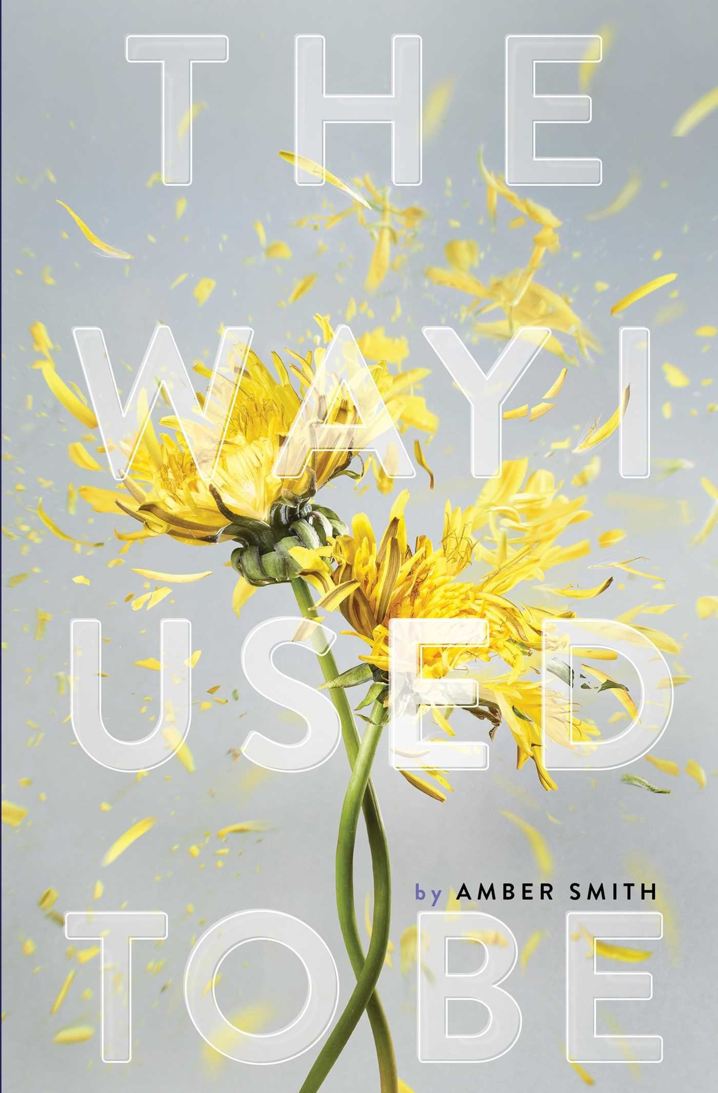 Amber Smith - The Way I Used to Be Audiobook  