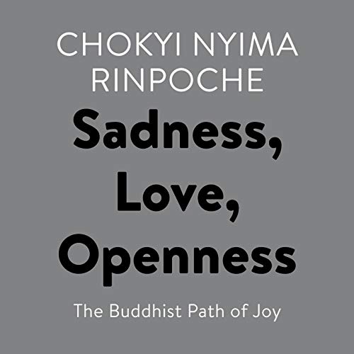 Chokyi Nyima Rinpoche - Sadness, Love, Openness Audiobook  