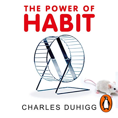 Charles Duhigg - The Power of Habit Audiobook  