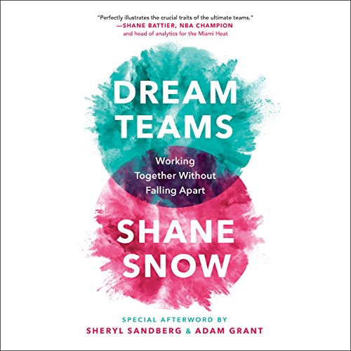 Shane Snow - Dream Teams Audiobook  