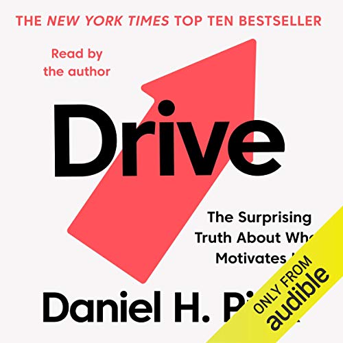 Daniel H. Pink - Drive Audiobook  