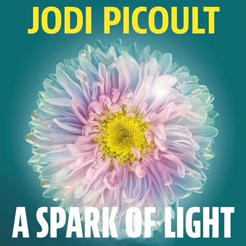 Jodi Picoult - A Spark of Light Audiobook  