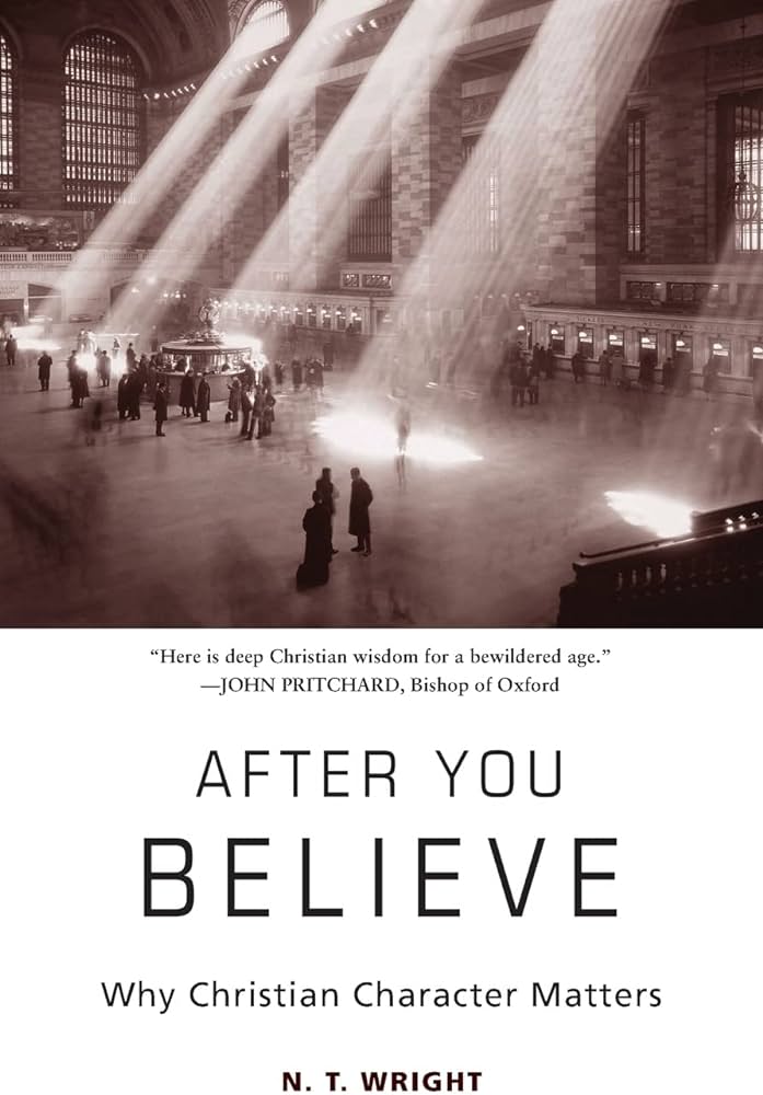 N. T. Wright - After You Believe Audiobook  