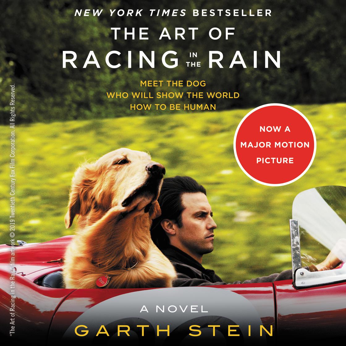 Garth Stein - The Art of Racing in the Rain Audiobook  