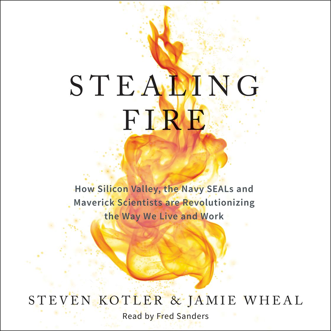 Steven Kotler - Stealing Fire Audiobook  