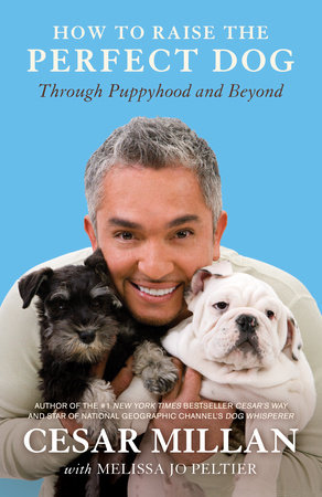 Cesar Millan - How to Raise the Perfect Dog Audiobook  