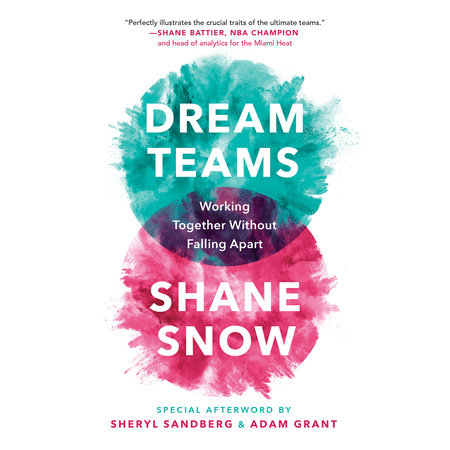 Shane Snow - Dream Teams Audiobook  