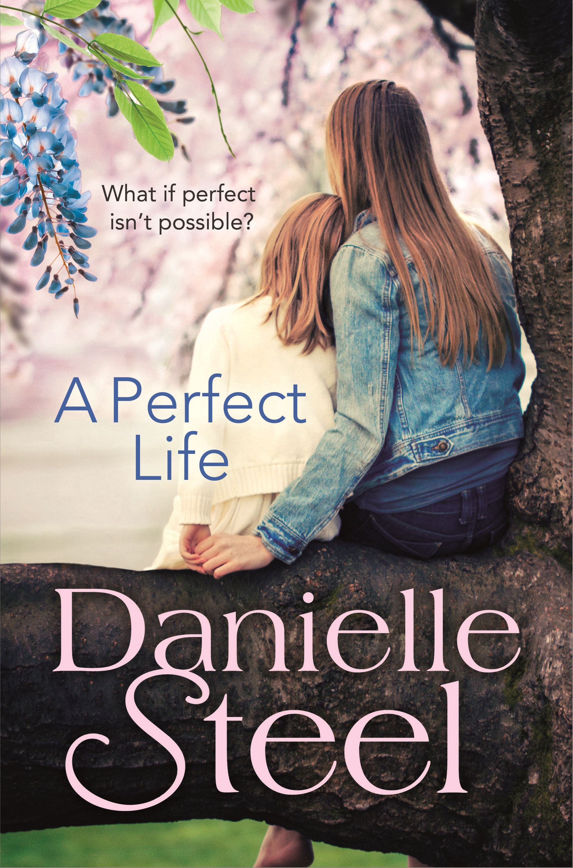 Danielle Steel - A Perfect Life Audiobook  