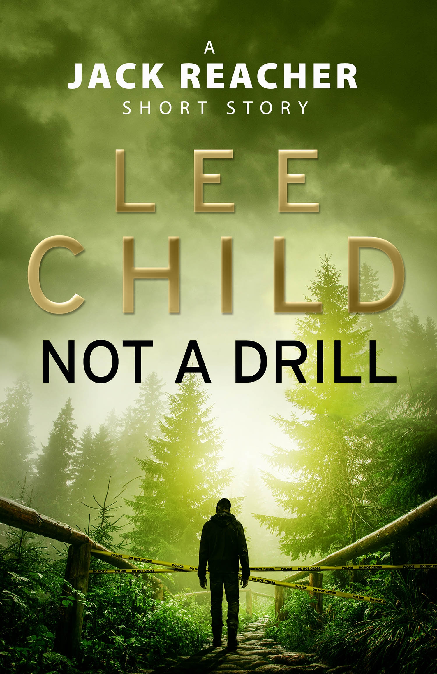 Lee Child - Not a Drill Audiobook  