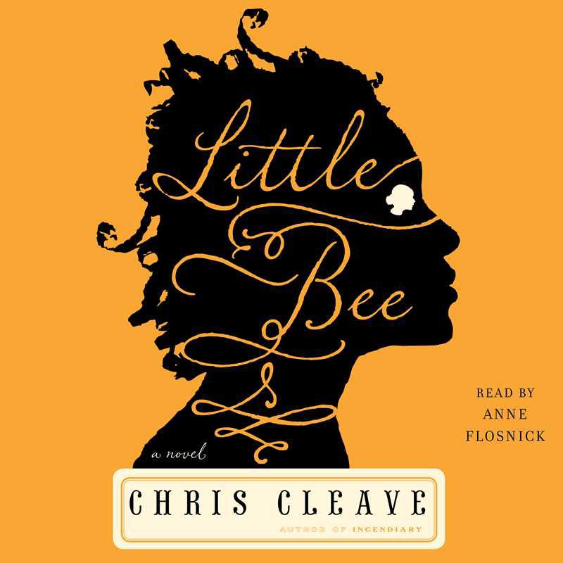 Chris Cleave - Little Bee Audiobook: A Tale Unheard