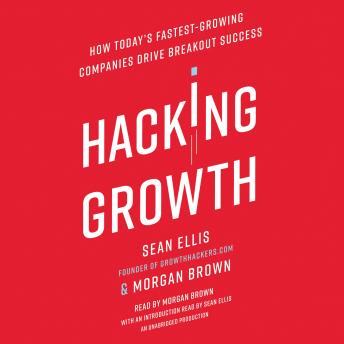 Sean Ellis - Hacking Growth Audiobook  