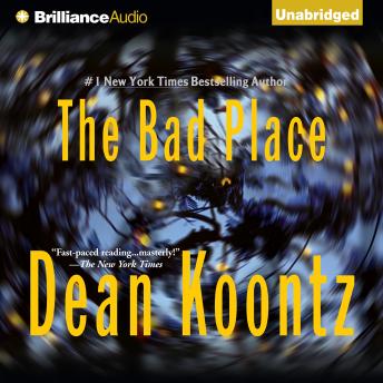 Dean Koontz - The Bad Place Audiobook  