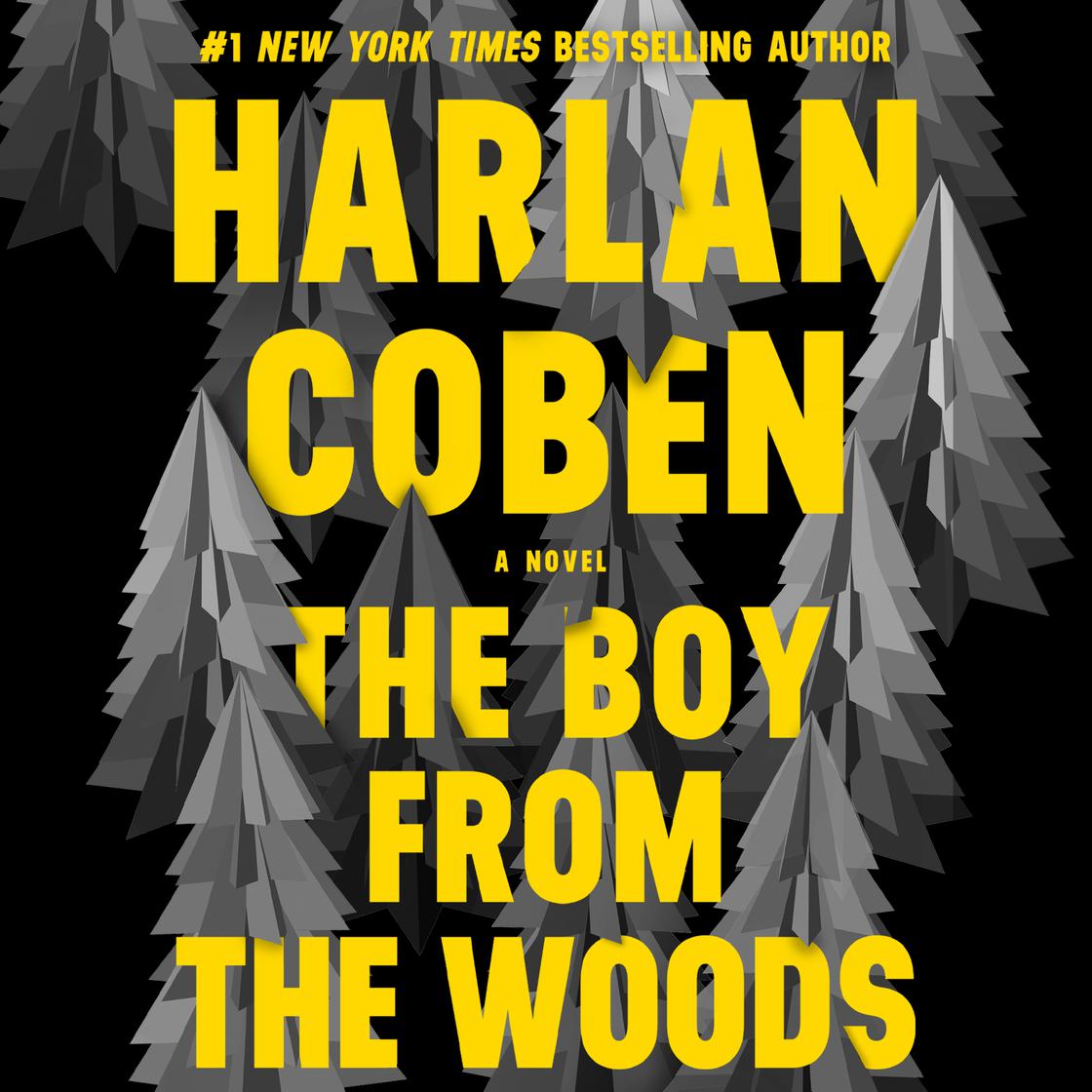 Harlan Coben - The Boy from the Woods Audiobook  