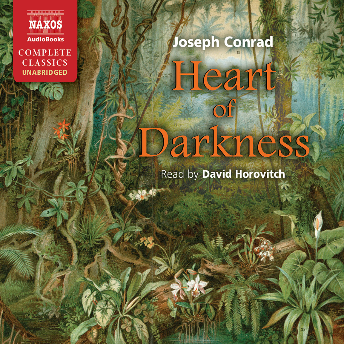 Joseph Conrad - Heart of Darkness Audiobook  