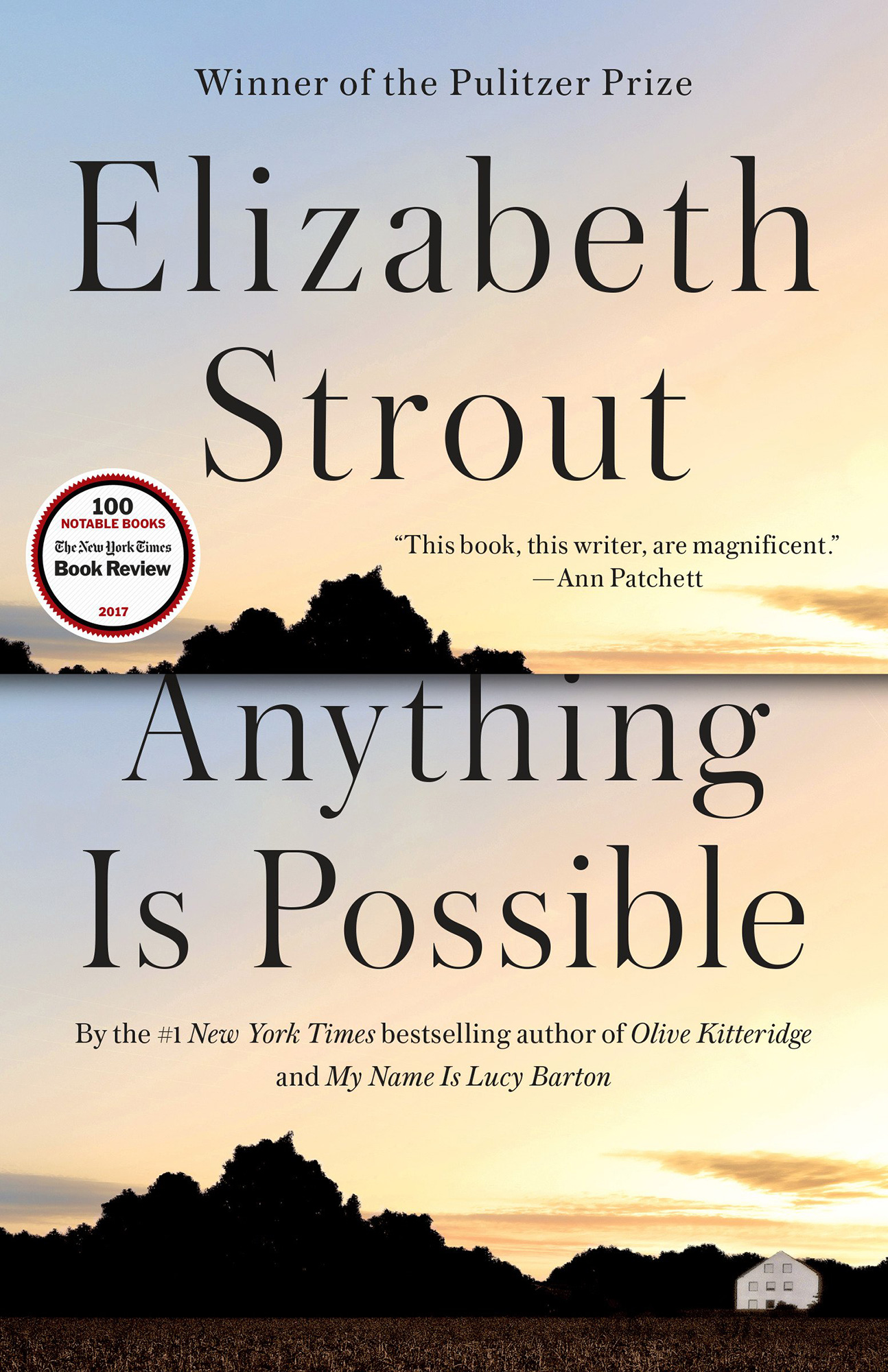 Elizabeth Strout - Anything Is Possible Audiobook  