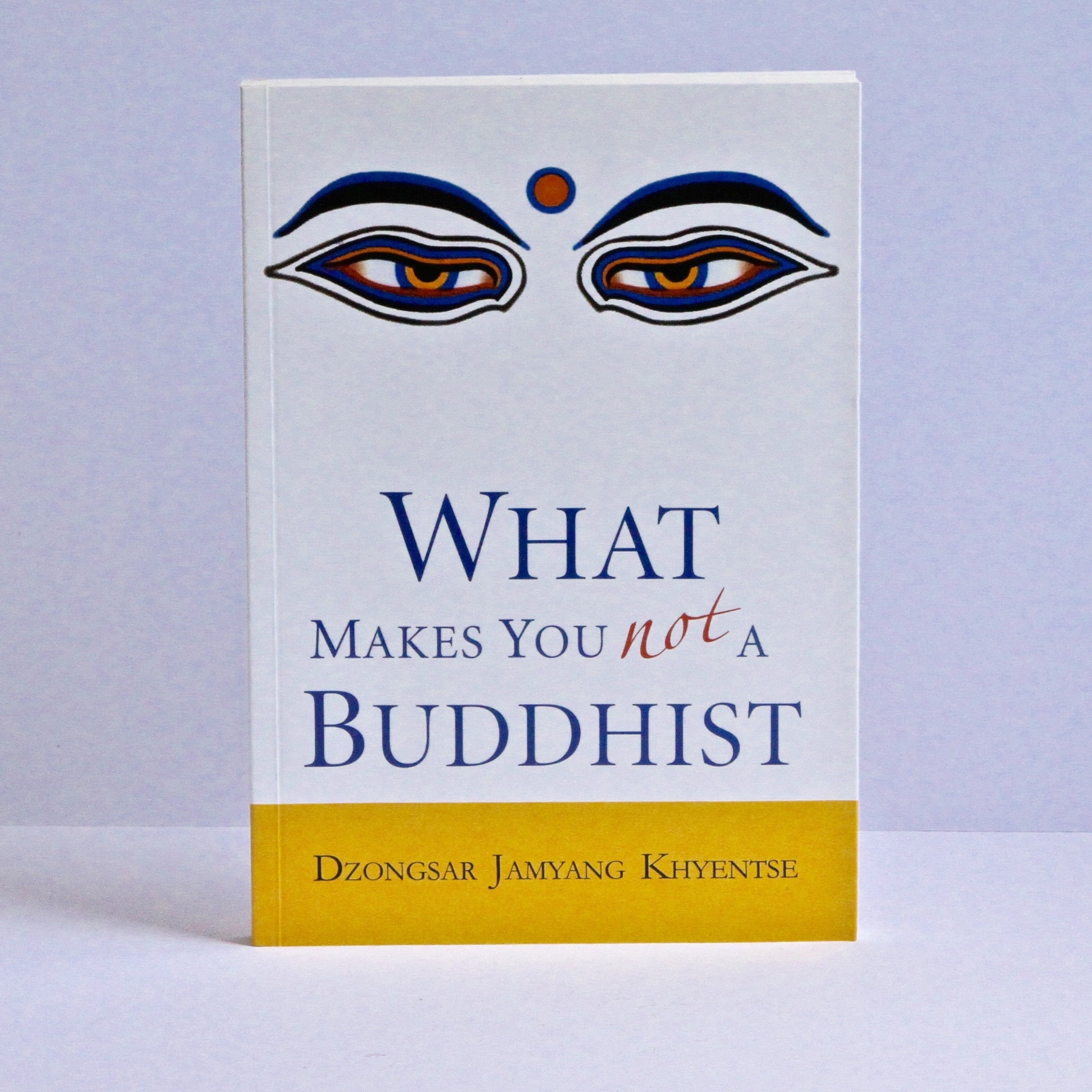 Dzongsar Jamyang Khyentse - What Makes You Not a Buddhist  