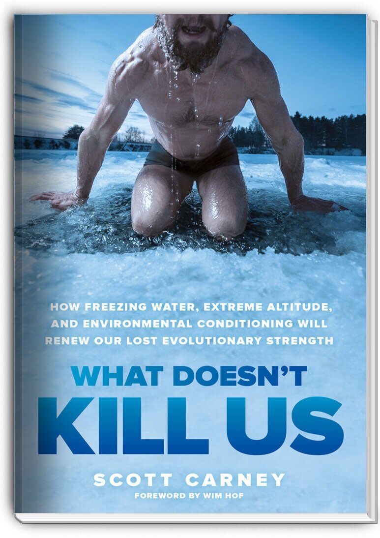 What Doesn'T Kill Us Audiobook by Scott Carney  