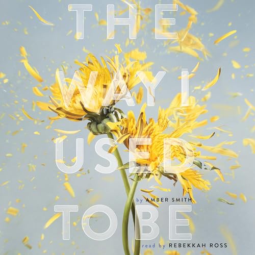 Amber Smith – The Way I Used to Be Audiobook