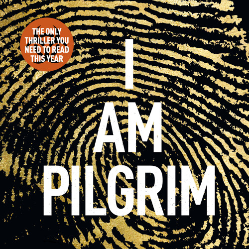 Terry Hayes - I Am Pilgrim Audiobook  