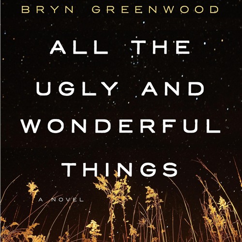 Bryn Greenwood - All the Ugly And Wonderful Things Audiobook  