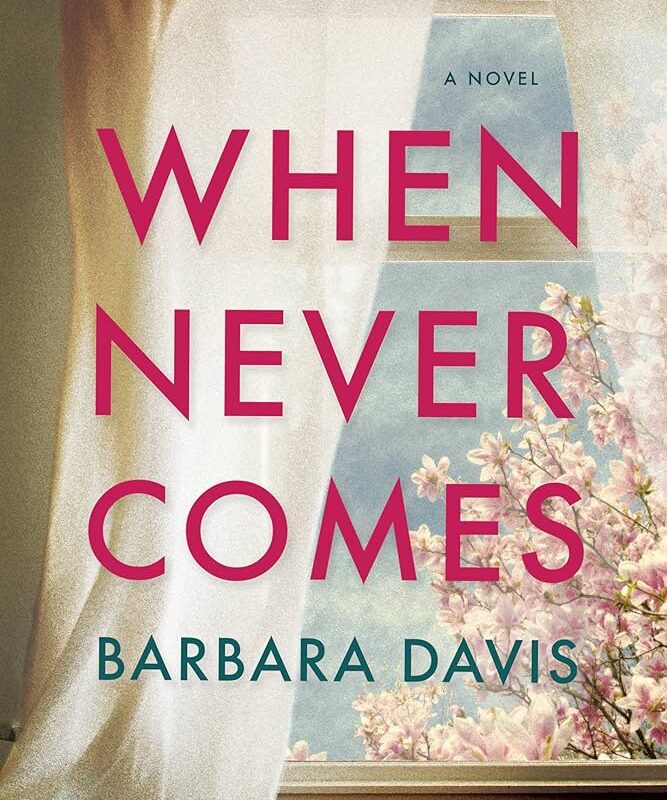 Barbara Davis - When Never Comes Audiobook