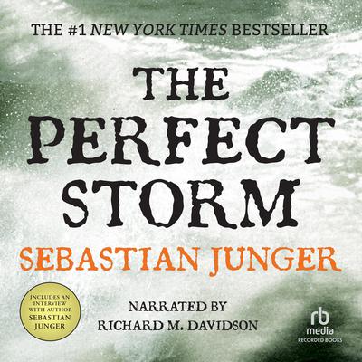 Sebastian Junger - The Perfect Storm Audiobook  