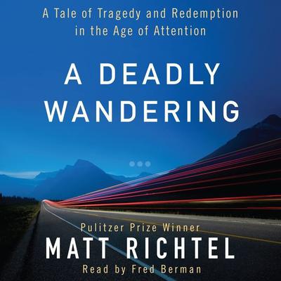 Matt Richtel - A Deadly Wandering Audiobook  