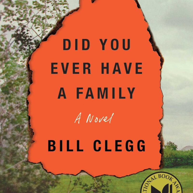 Bill Clegg - Did You Ever Have a Family Audiobook