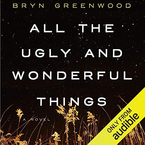 Bryn Greenwood – All the Ugly And Wonderful Things Audiobook