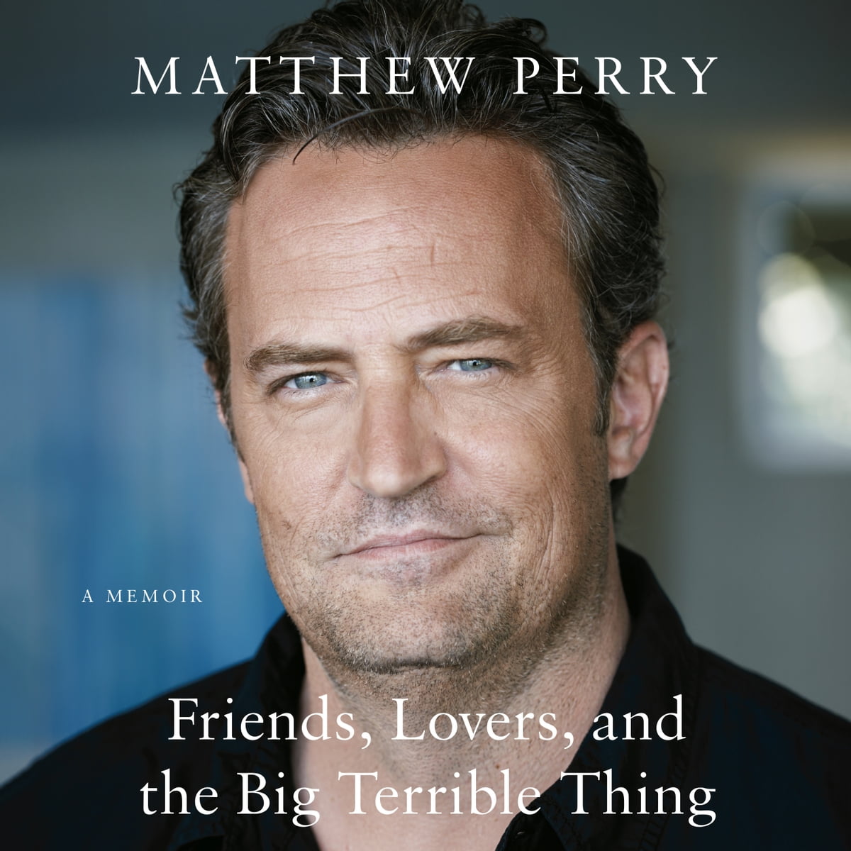 Matthew Perry - Friends, Lovers, And the Big Terrible Thing Audiobook  