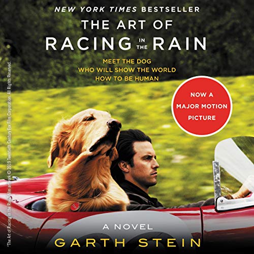 Garth Stein – The Art of Racing in the Rain Audiobook