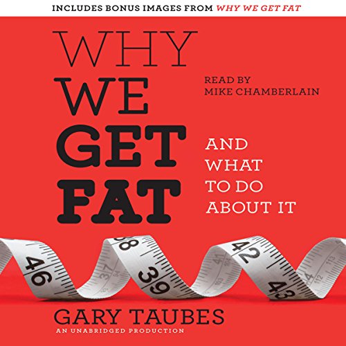 Gary Taubes – Why We Get Fat: And What to Do About It Audiobook