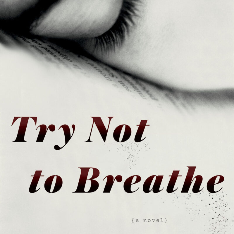 Holly Seddon - Try Not to Breathe Audiobook