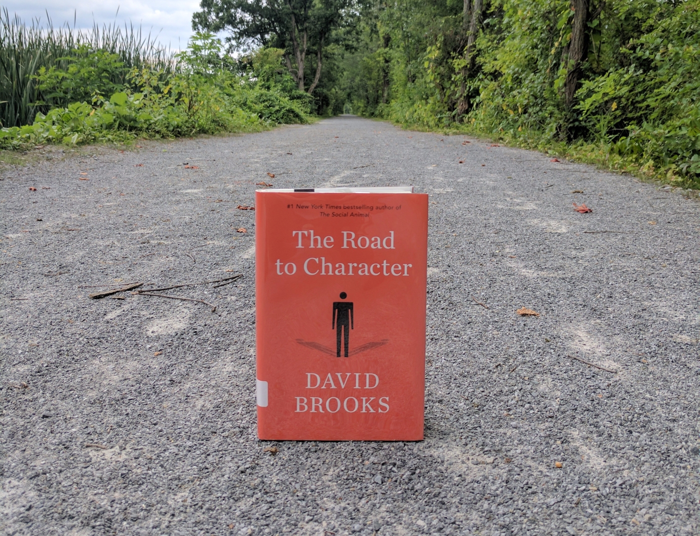 David Brooks - The Road to Character Audiobook  