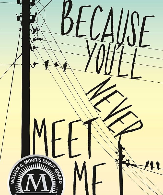 Leah Thomas - Because You'Ll Never Meet Me Audiobook