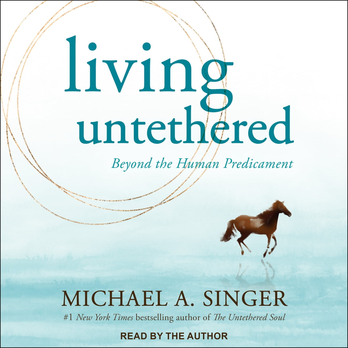 Michael A. Singer - Living Untethered Audiobook  