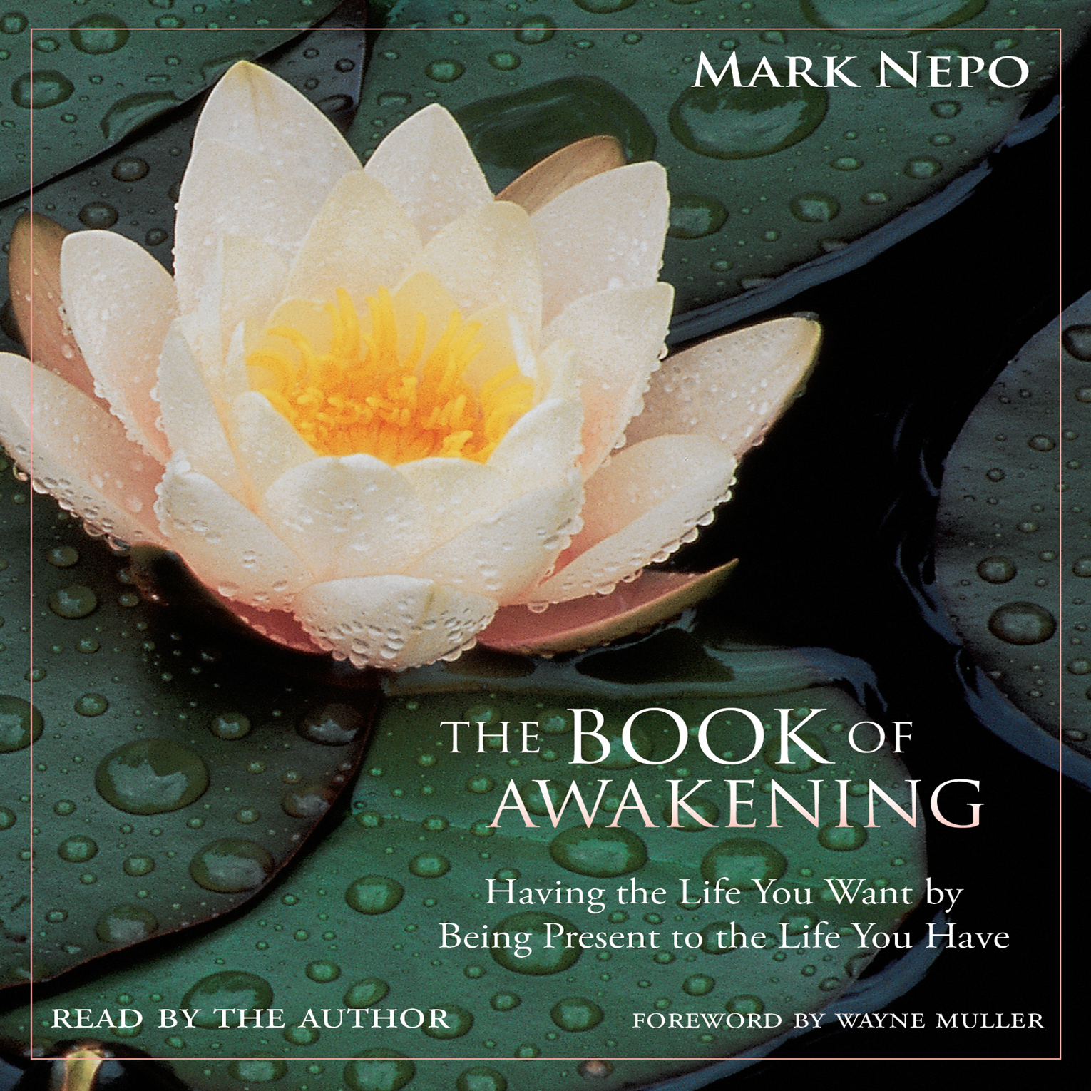 Mark Nepo – The Book of Awakening Audiobook