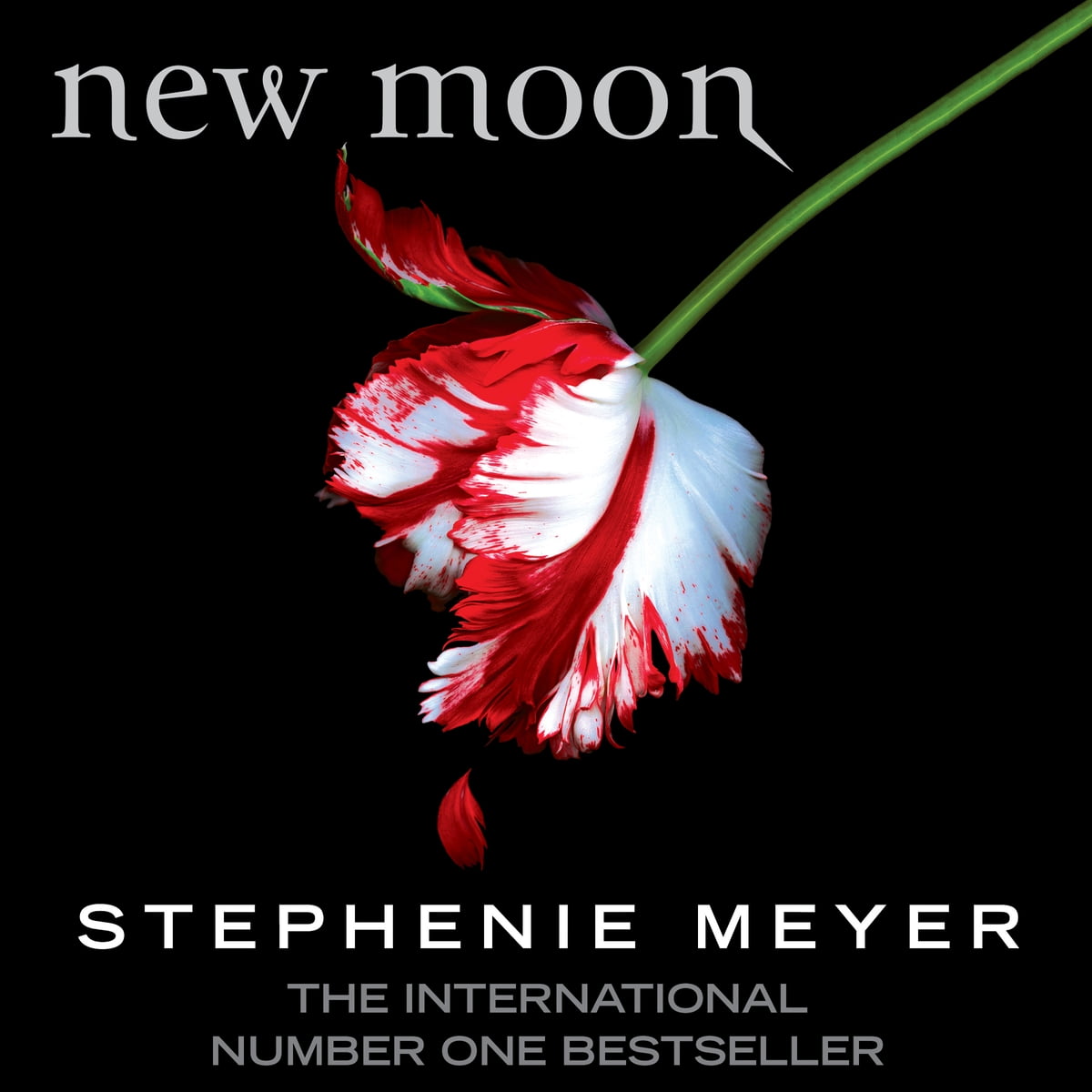 Stephenie Meyer - New Moon Audiobook  