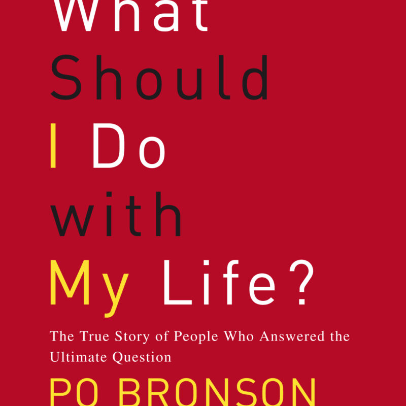 Po Bronson - What Should I Do With My Life? Audiobook