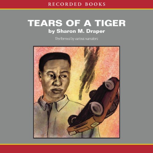 Sharon M. Draper – Tears of a Tiger Audiobook