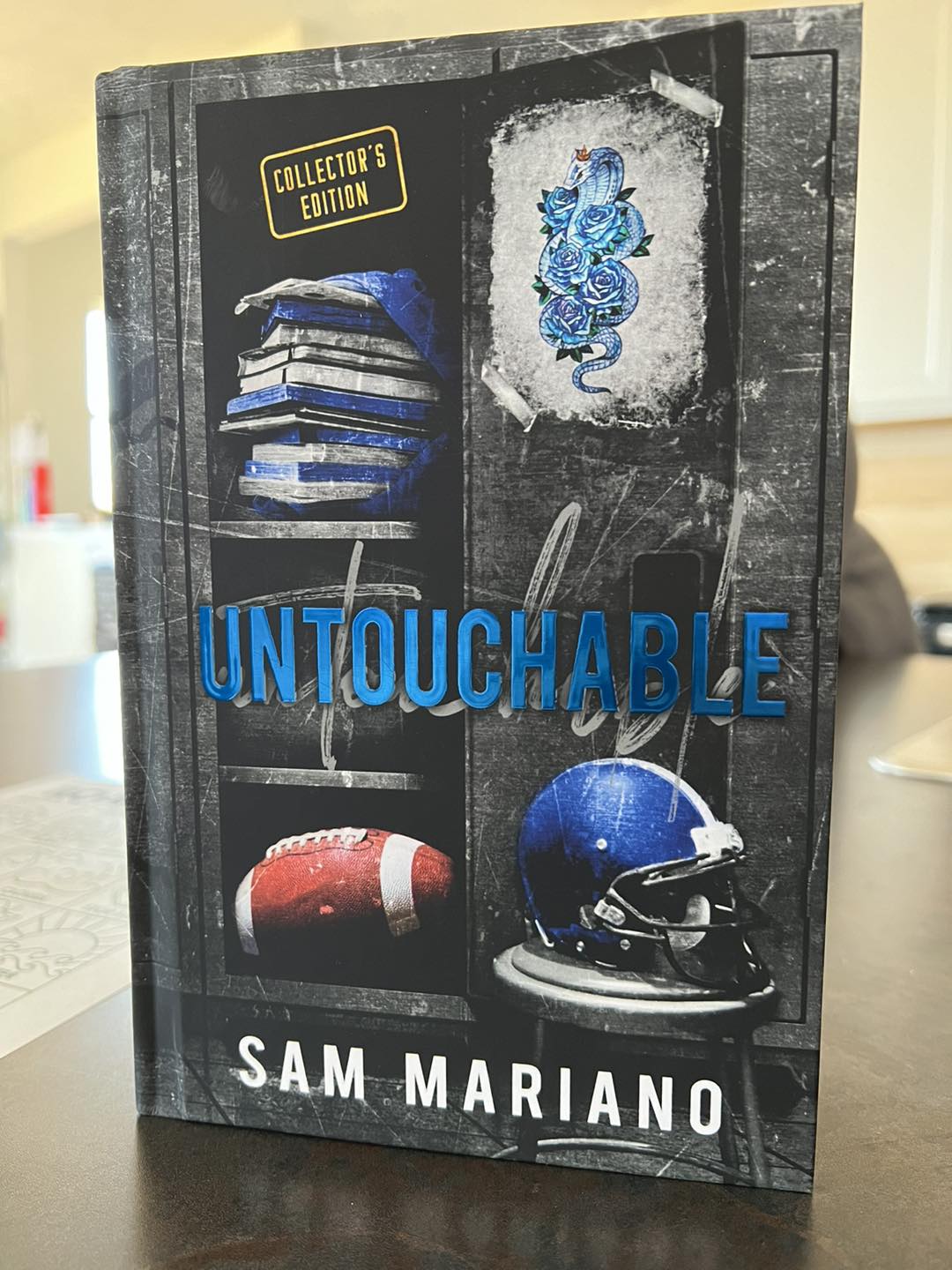 Sam Mariano - Untouchable Audiobook  